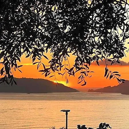 Bellavista Alojamento de Acomodação e Pequeno-almoço